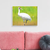 湿原で歩く百羽鶴 キャンバスプリント (インサイチュ (リビング))