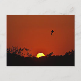 湿原に沈む夕日 ポストカード