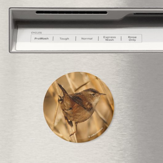 湿原の中の美しい湿原 マグネット (インサイチュ (食洗機))