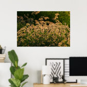 湿地で成長する野生のキビ(Panicum Sp.) ポスター (ホームオフィス)
