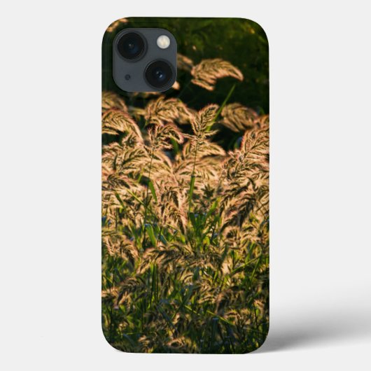 湿地で成長する野生のキビ(Panicum Sp.) Case-Mate iPhoneケース (裏面)