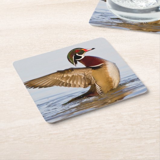 湿地で羽ばたく木の鴨の雄の羽 スクエアペーパーコースター (アングル)