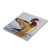 湿地で羽ばたく木の鴨の雄の羽 タイル (側面)