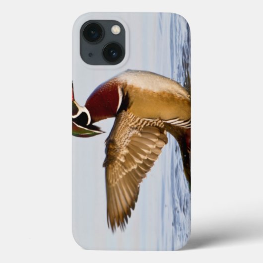 湿地で羽ばたく木の鴨の雄の羽 Case-Mate iPhoneケース (裏面)