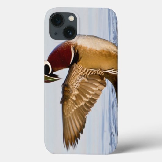 湿地で羽ばたく雄の木鴨 Case-Mate iPhoneケース (裏面)