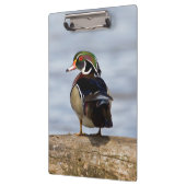 湿地にログインしている木のアヒルの雄 クリップボード (左)