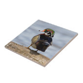 湿地にログインしている木のアヒルの雄 タイル (側面)