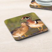 湿地に丸太の木のアヒルと女性 コースター (左側)