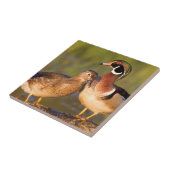 湿地に丸太の木のアヒルと女性 タイル (側面)