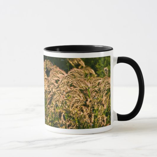 湿地に生える野生のキビ(Panicum Sp.) マグカップ (右)