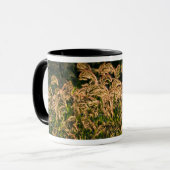 湿地に生える野生のキビ(Panicum Sp.) マグカップ (正面左)