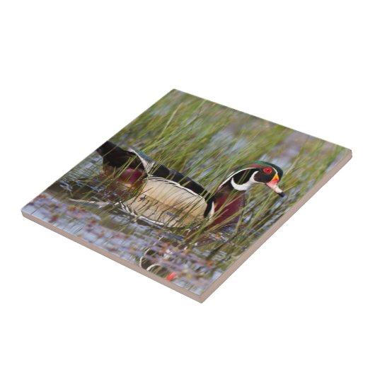 湿地に生息するアヒル タイル (側面)