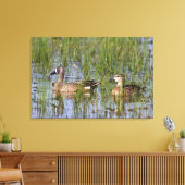 湿地に生息する青い翼のティール(緑がかった色)の雄と雌 キャンバスプリント (インサイチュ (リビング))