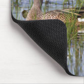 湿地に生息する青い翼のティール(緑がかった色)の雄と雌 マウスパッド (コーナー)