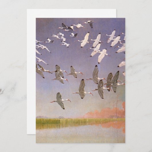 湿地に飛んでいるイビスの群れヴィンテージ (正面/裏面)