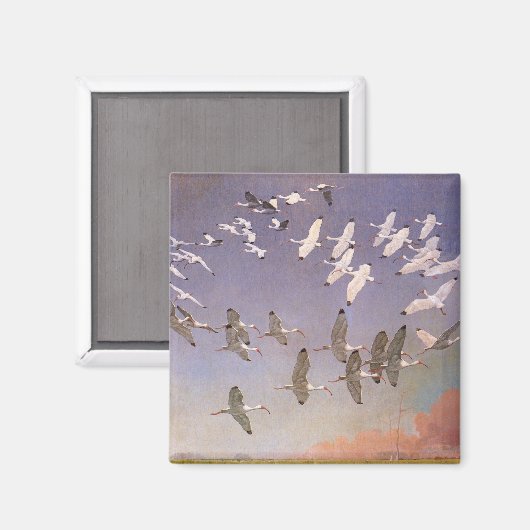 湿地に飛んでいるイビスの群れヴィンテージ マグネット (正面/裏面)