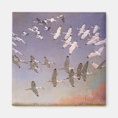 湿地に飛んでいるイビスの群れヴィンテージ マグネット (正面)