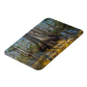 湿地のハゲのヒノキ、大きなヒノキの保存庫 マグネット (左側)