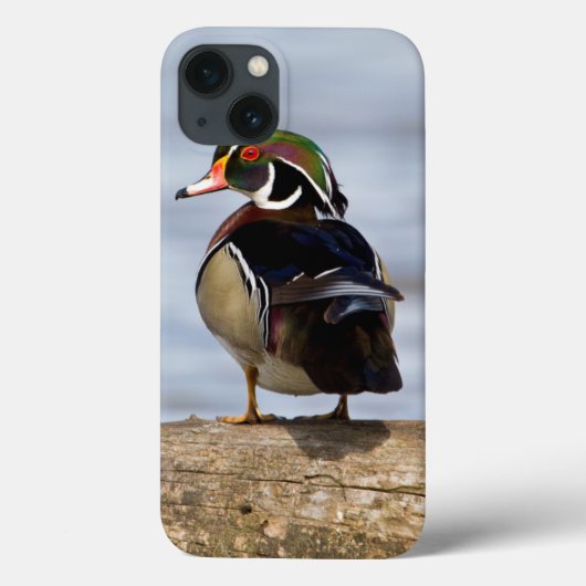 湿地の丸太にいる雄の木アヒル Case-Mate iPhoneケース (裏面)