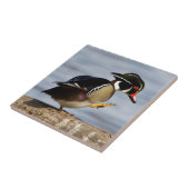 湿地の丸太の上の木鴨 タイル (側面)