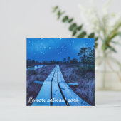 湿地の夜 (スタンド正面)