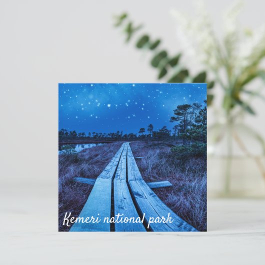 湿地の夜 (スタンド正面)