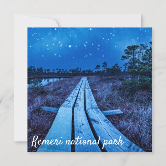 湿地の夜 (正面)