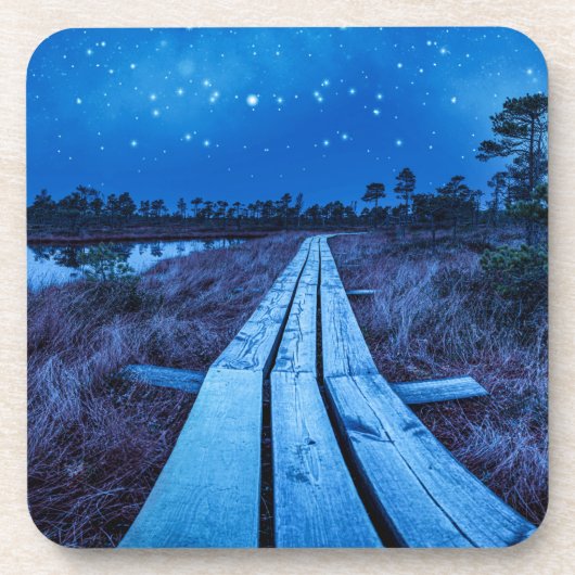 湿地の夜 コースター (正面)