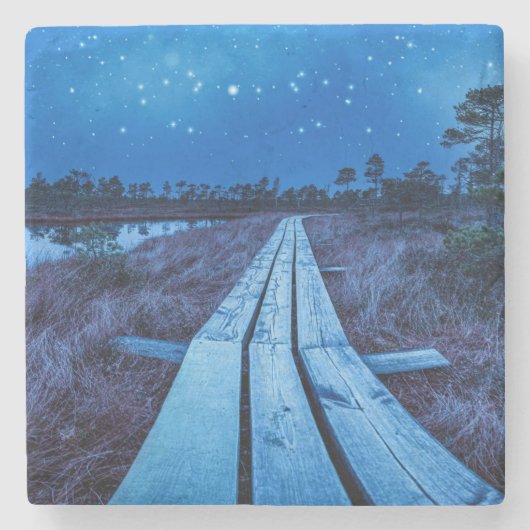 湿地の夜 ストーンコースター (正面)