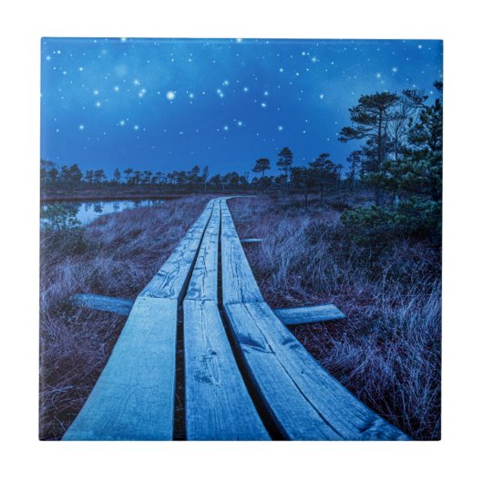 湿地の夜 タイル (正面)