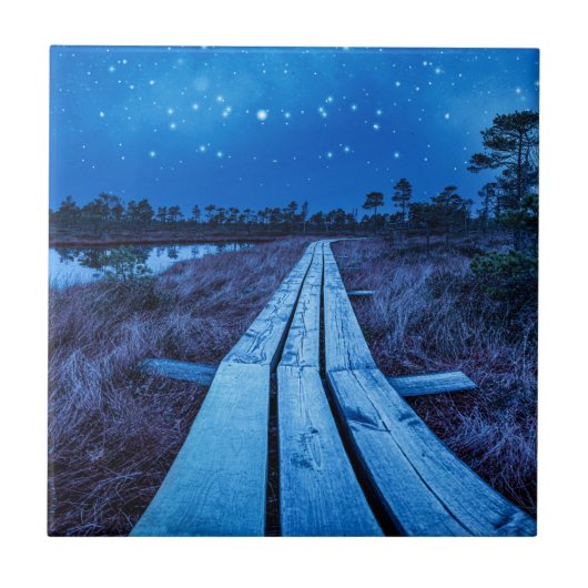 湿地の夜 タイル (正面)