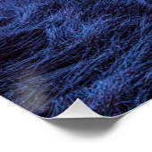 湿地の夜 ポスター (コーナー)