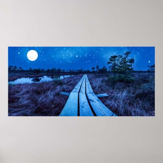 湿地の夜 ポスター (正面)