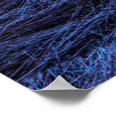 湿地の夜 ポスター (角)