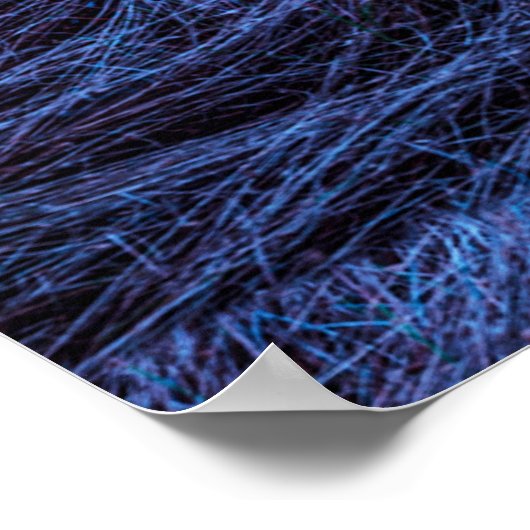 湿地の夜 ポスター (角)