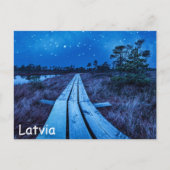 湿地の夜 ポストカード (正面)