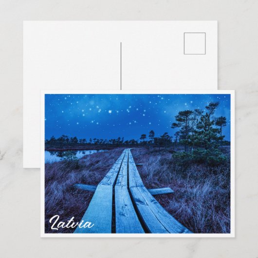 湿地の夜 ポストカード (正面/裏面)