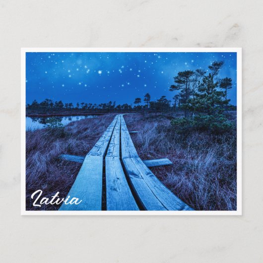 湿地の夜 ポストカード (正面)