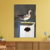 湿地の巣の上の木のアヒルの女性 キャンバスプリント (インサイチュ (リビング))