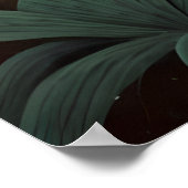 湿地の森ワイルドタイガーヴィンテージポスター ポスター (角)