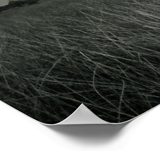 湿地の草 ポスター (角)