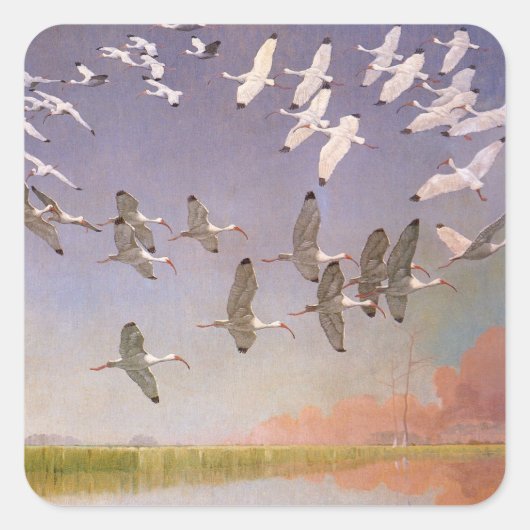 湿地を飛ぶサギの群れ、ヴィンテージの鳥 スクエアシール (正面)