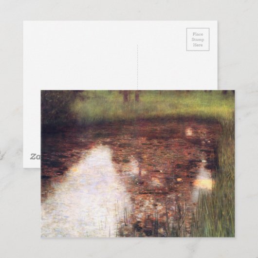 湿地クール ポストカード (正面/裏面)
