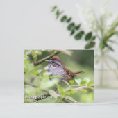 湿地スパロー ポストカード (スタンド正面)