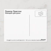 湿地スパロー ポストカード (裏面)
