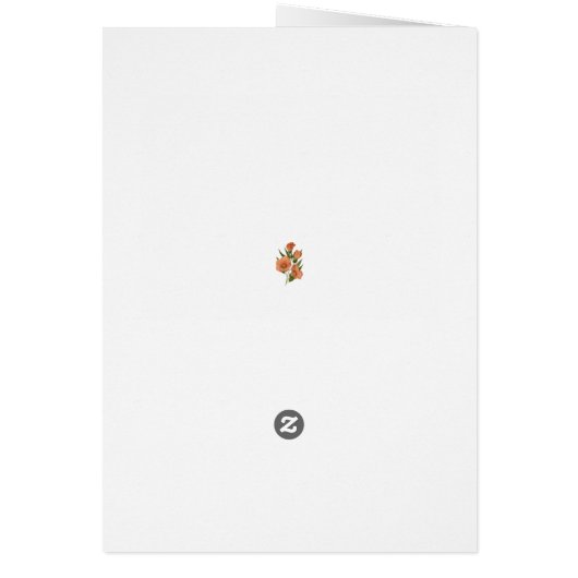 湿地バラマロ空白の (裏面)