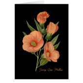 湿地バラマロ空白の (正面)