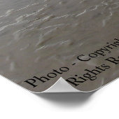 湿地ポスター ポスター (角)