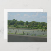 湿地ポスター ポストカード (正面/裏面)