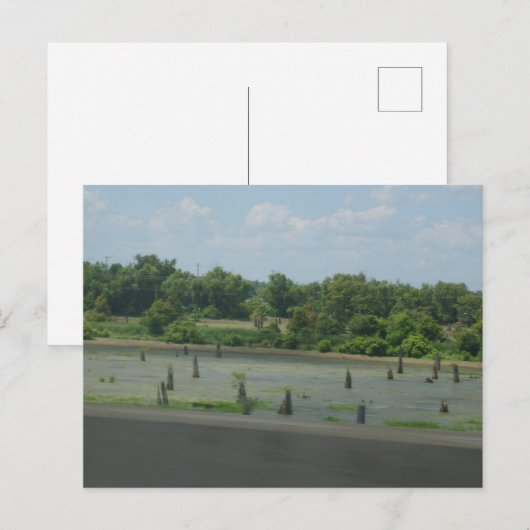 湿地ポスター ポストカード (正面/裏面)